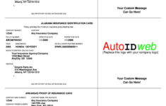 Insurance Card Template Fill Online Printable Fillable Blank