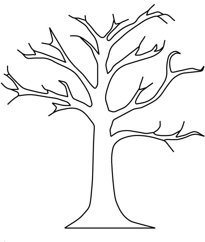 Printable Tree Without Leaves Coloring Page Tree Coloring Page Fall 