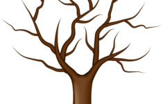 Tree Without Leaves PNG Clip Art Gallery Yopriceville High Quality
